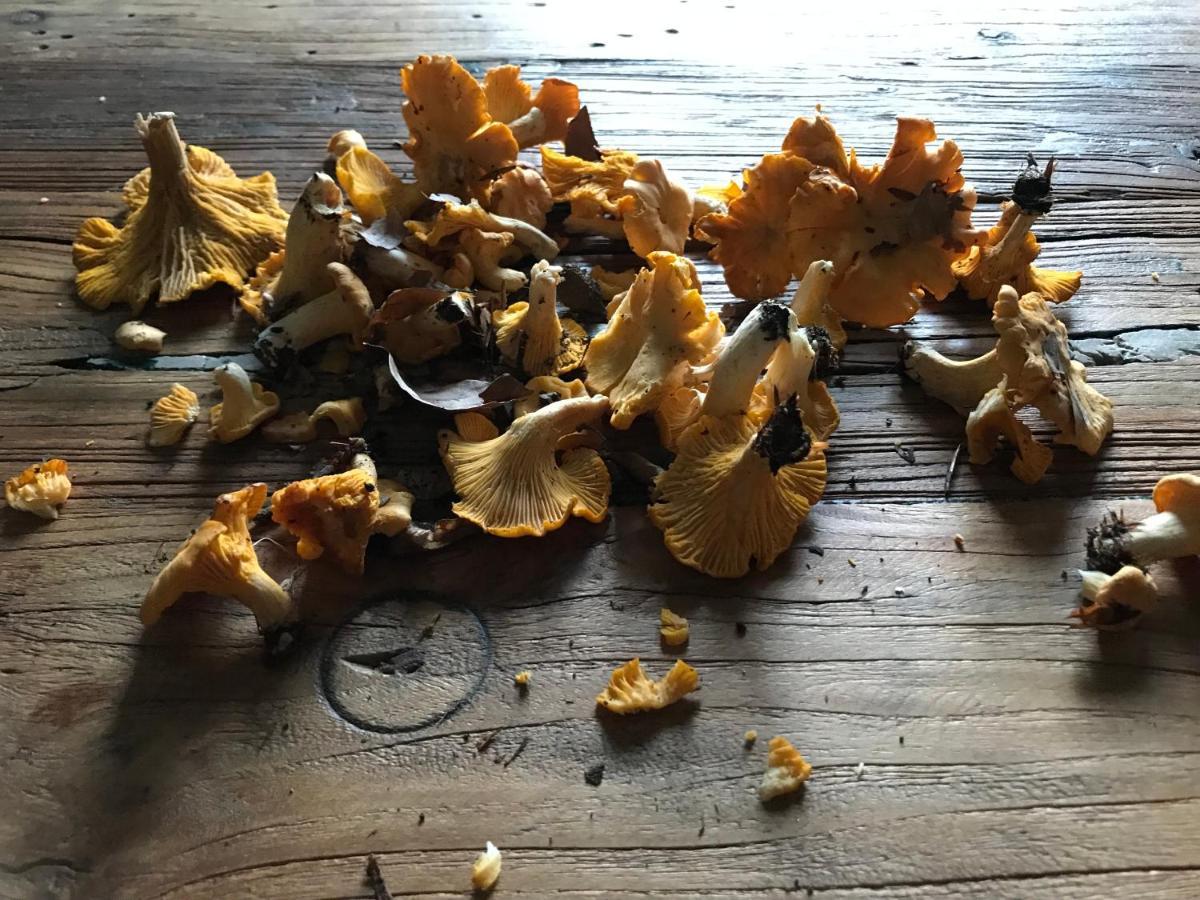 Oesterlen - Baestekille Backar Sankt Olof エクステリア 写真