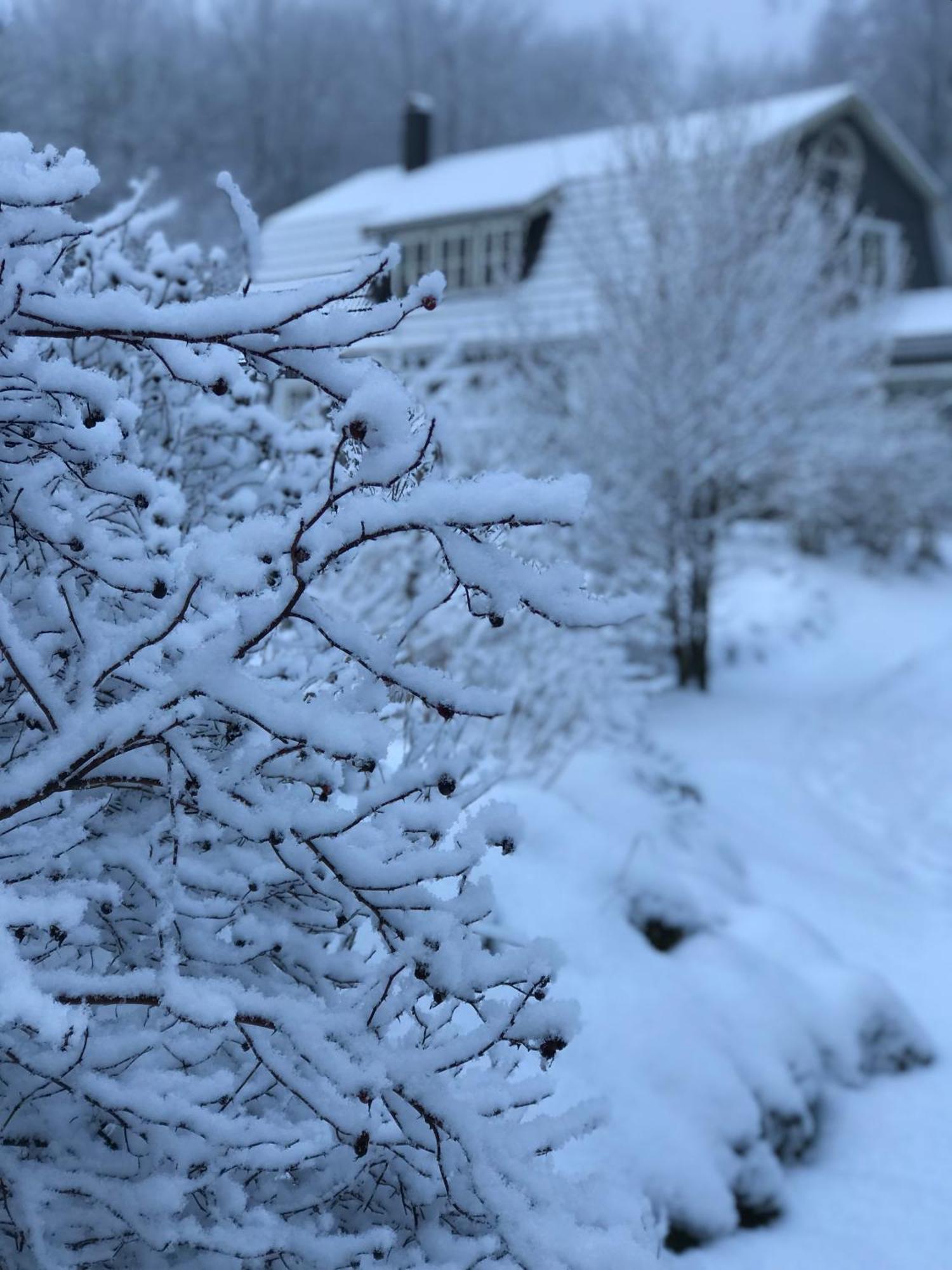 Oesterlen - Baestekille Backar Sankt Olof エクステリア 写真